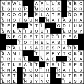 LA Times Crossword Answers Saturday December 19th 2020